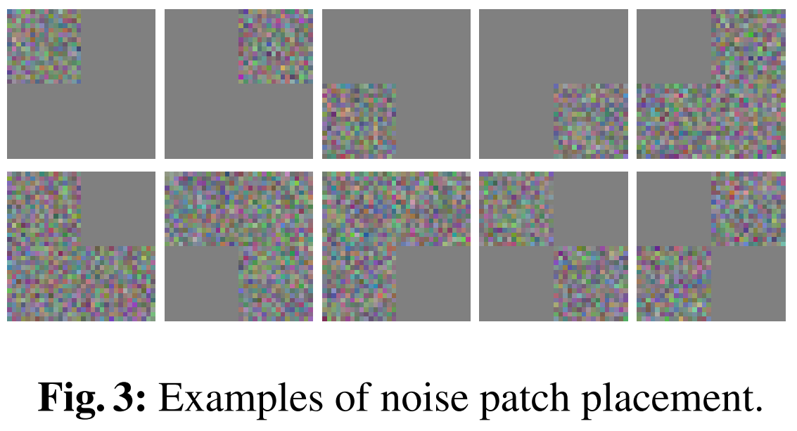 fig3_examples_of_noise_patch_placement