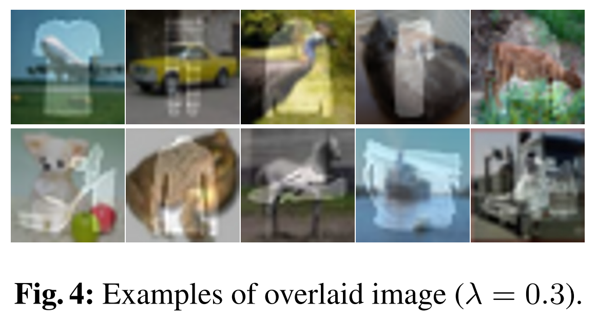 fig4_examples_of_overlaid_image