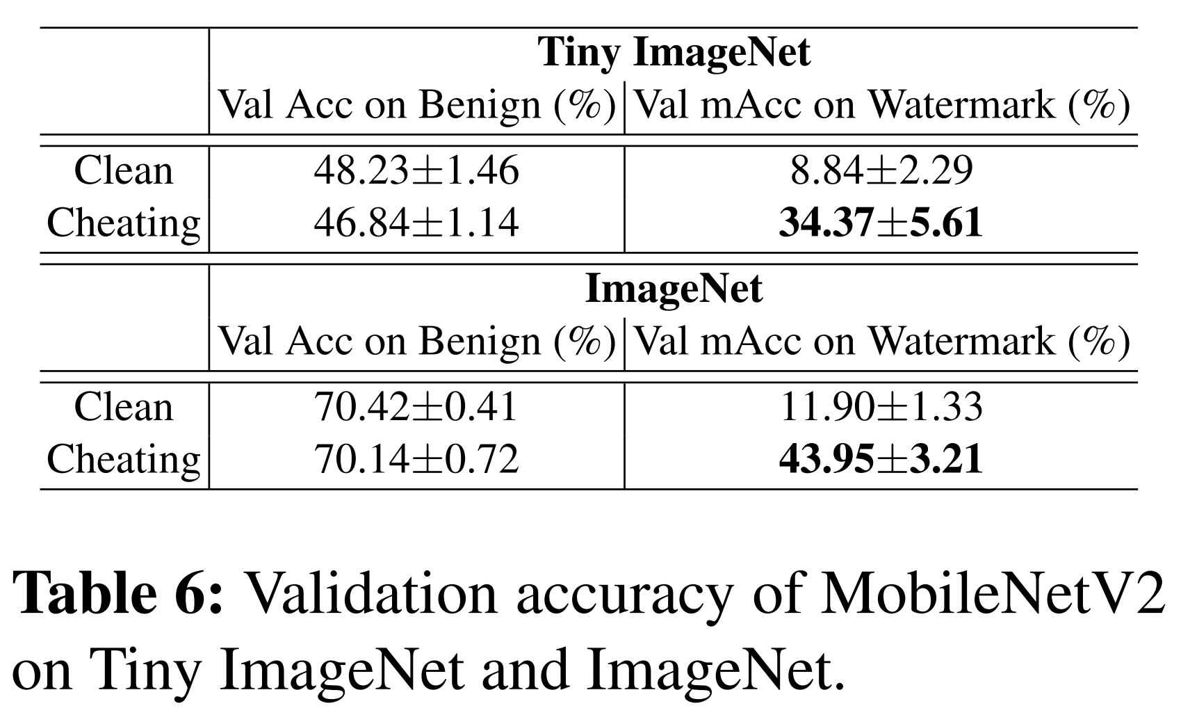 table6_Validation_accuracy_of_MobileNetV2_on_Tiny_ImageNet_and_ImageNet
